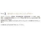 ETVOS Creamy Tap Mineral Foundation Radiant Finish Japan