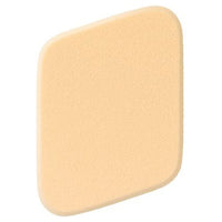est Lasting Glow Liquid Foundation - Liquid Foundation Sponge product bottle on white background