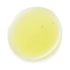 THREE Balancing Overnight Oil Serum SQ Nourishing Cream Visual White Background