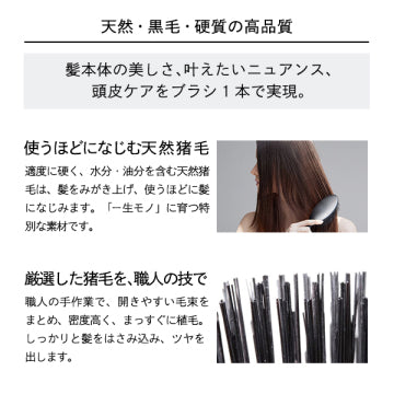 ReFa Refar Bristle Natural Boar Bristles Hairbrushes/Combs Premium Design Japan