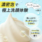 FANCL Deep Clear Face Wash Powder Clearness VC Cleansing Radiance White Background