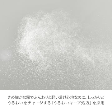 RMK Conditioning Fix Mist Cool Makeup Fixing Refreshing Mist Japan
