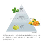 RMK Conditioning Fix Mist Cool Makeup Fixing Refreshing Mist Japan