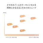 RMK Collecting Veil Concealer Flawless Coverage White Background