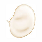 Waphyto Nourishing Cleansing Oil Bio Retinol Infusion Bottle Presentation
