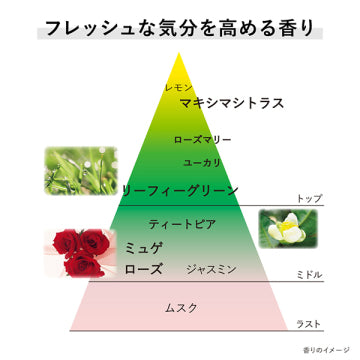 KANEBO Cream In Day II Protection Skincare Product White Background
